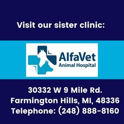 visit our sister clinic